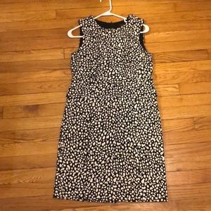 Ann Taylor petite work dress